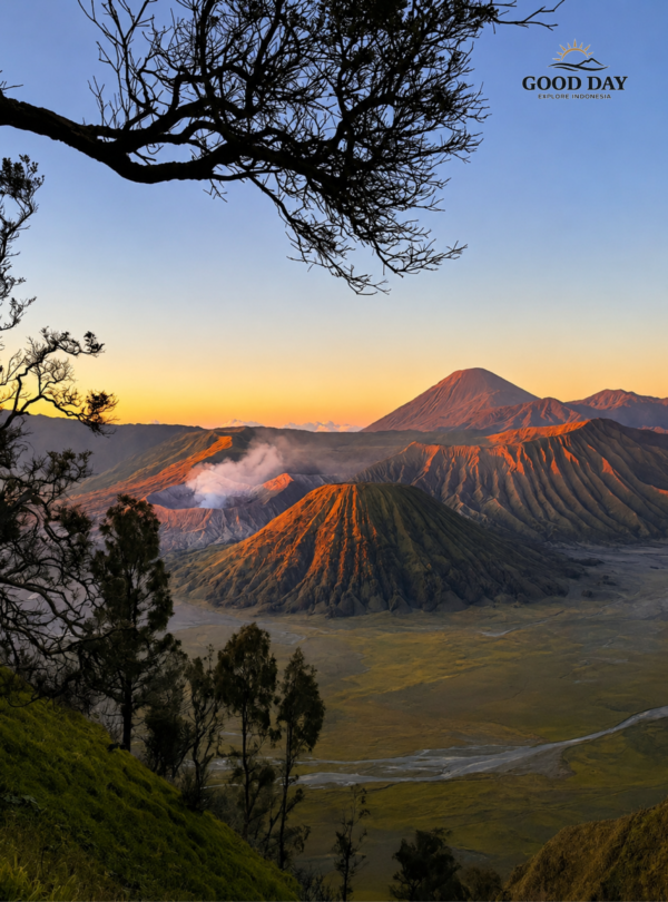 Active volcano crater at Mount Bromo East Java
