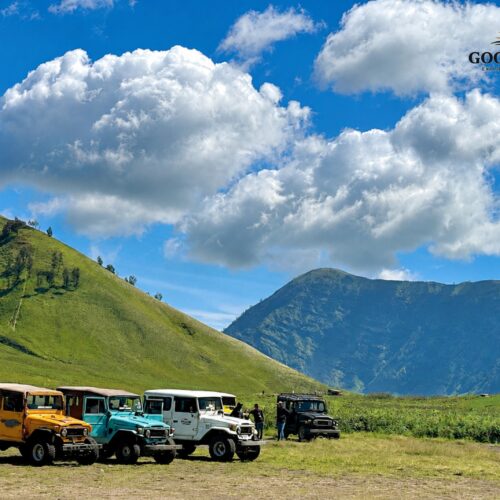 Green hills at Teletubbies Hill Mount Bromo East Java