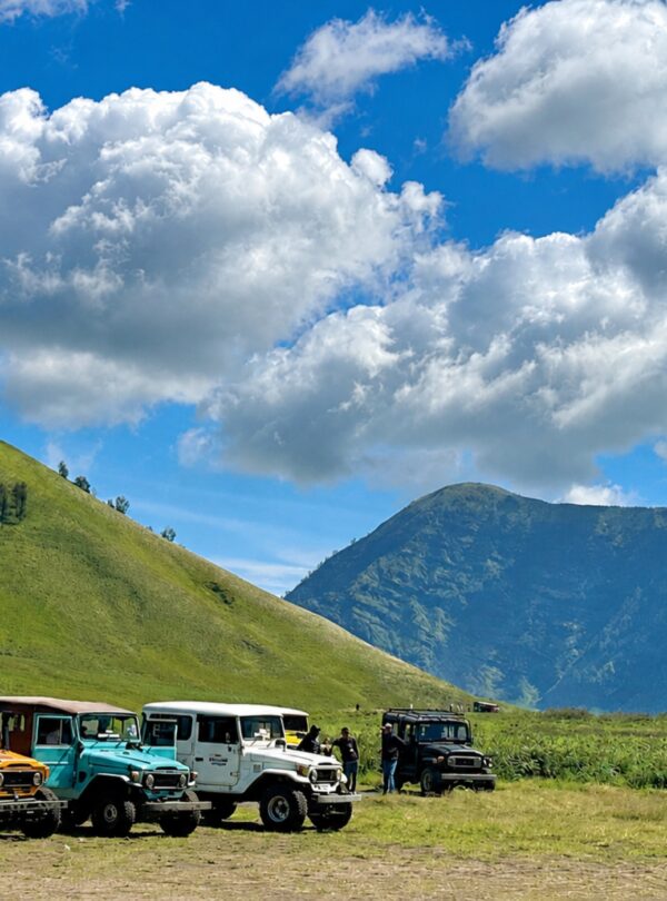 Green hills at Teletubbies Hill Mount Bromo East Java