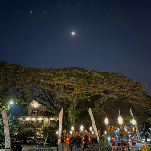 Beautiful night view of Balai Kota Malang with glowing vintage street lamps, giant shady trees, and a bright moon illuminating the peaceful city atmosphere in Malang, Indonesia.