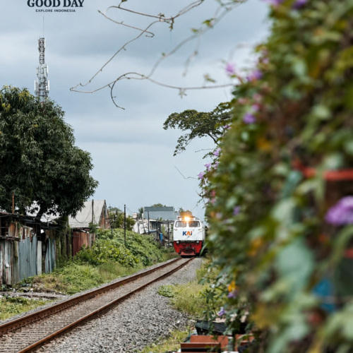 A KAI train traveling through a railway track in Malang, East Java, surrounded by lush greenery, flowering plants, and local neighborhoods under a dramatic cloudy sky.