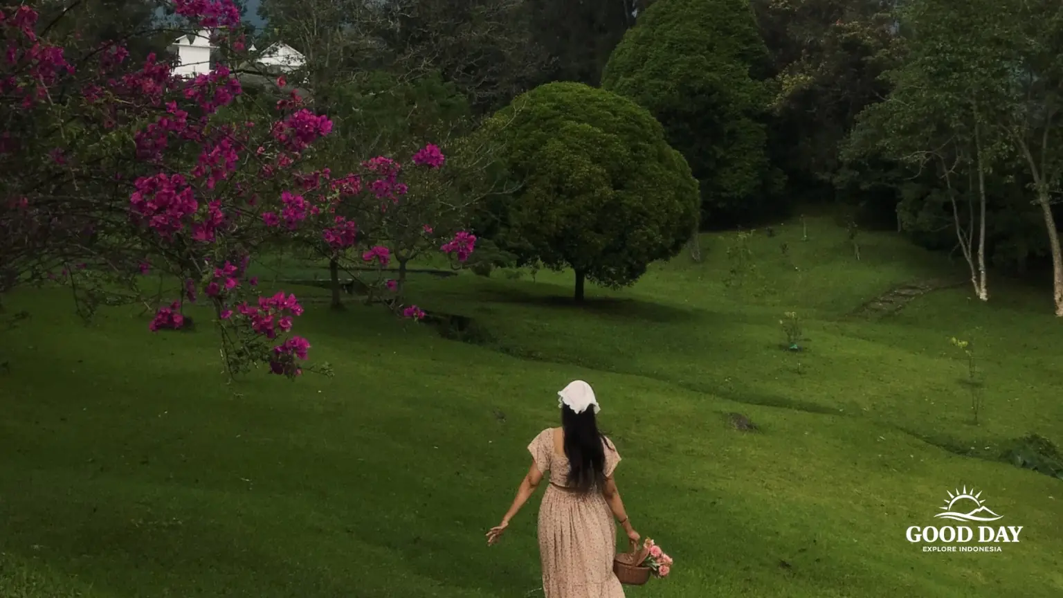 A visitor walking through the lush lawns and colorful gardens of Bogor Botanical Gardens (Kebun Raya Bogor) in Bogor, West Java, Indonesia.