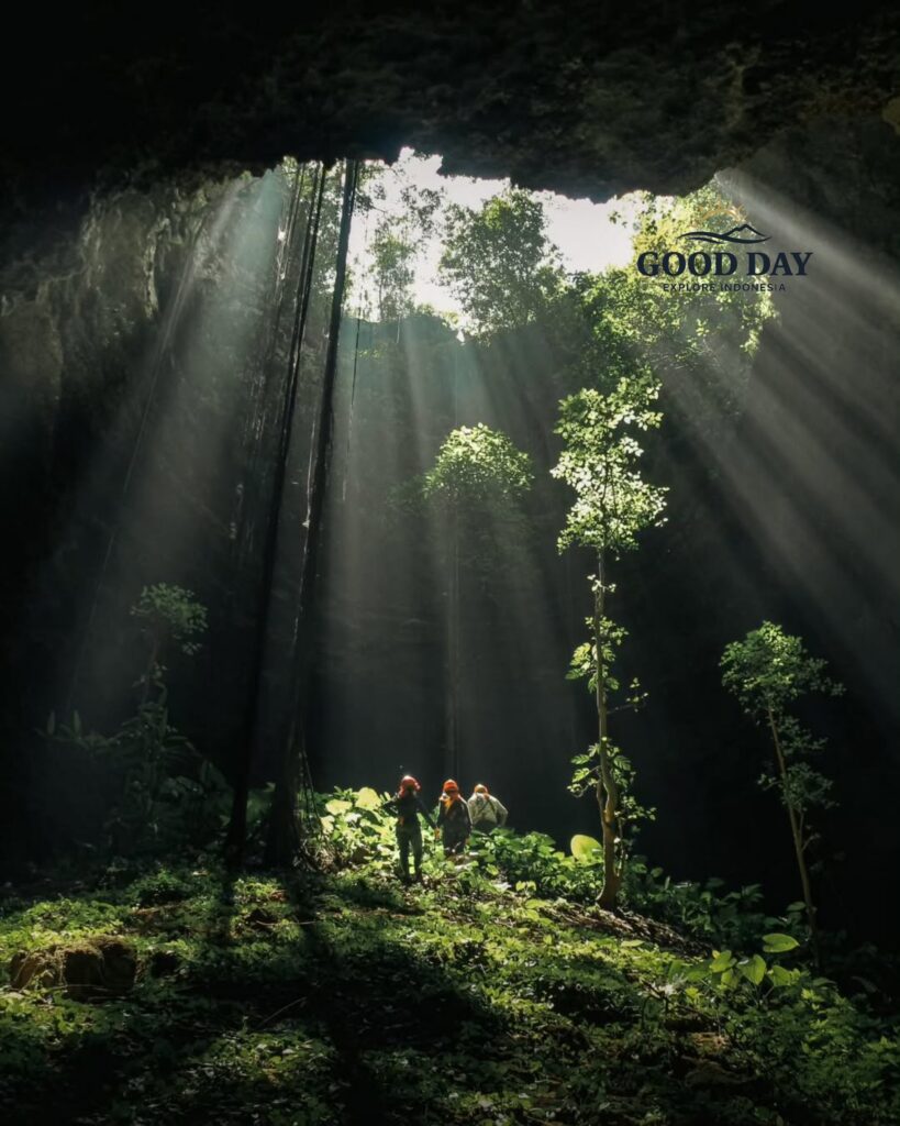 Sunlight streams dramatically through the massive opening of Goa Macan Mati in Yogyakarta, Indonesia, illuminating lush vegetation and cave explorers deep inside the underground chamber. This breathtaking cave landscape showcases one of Gunungkidul's most spectacular natural wonders, where adventure, geology, and nature converge beneath the Earth's surface.
