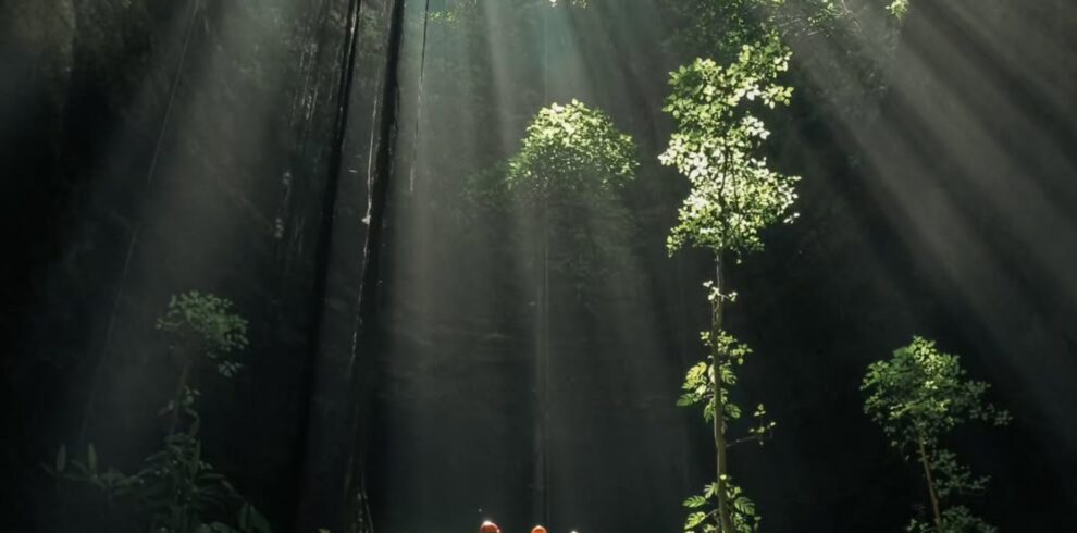 Sunlight streams dramatically through the massive opening of Goa Macan Mati in Yogyakarta, Indonesia, illuminating lush vegetation and cave explorers deep inside the underground chamber. This breathtaking cave landscape showcases one of Gunungkidul's most spectacular natural wonders, where adventure, geology, and nature converge beneath the Earth's surface.
