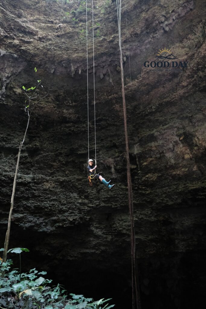 Adventurer descending by rope inside Goa Macan Mati, Yogyakarta, Indonesia. Suspended in the middle of a massive vertical cave chamber, the participant uses professional caving equipment while surrounded by towering limestone walls, hanging roots, and the dramatic underground landscape of Gunungkidul