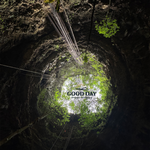 View from the bottom of Goa Macan Mati looking upward toward a circular cave opening surrounded by lush vegetation in Yogyakarta, Indonesia. Sunlight filters through hanging roots and greenery, revealing the immense vertical cave chamber that makes this destination one of the most impressive caving sites in Gunungkidul.