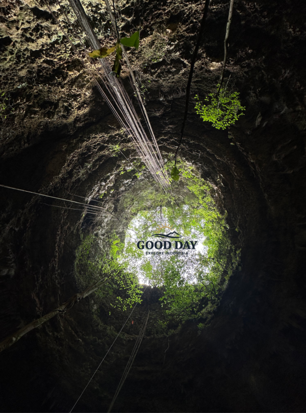 View from the bottom of Goa Macan Mati looking upward toward a circular cave opening surrounded by lush vegetation in Yogyakarta, Indonesia. Sunlight filters through hanging roots and greenery, revealing the immense vertical cave chamber that makes this destination one of the most impressive caving sites in Gunungkidul.