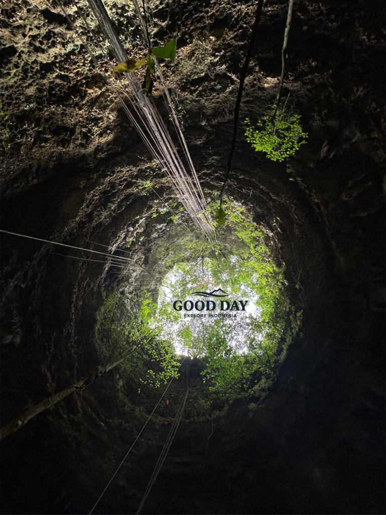 View from the bottom of Goa Macan Mati looking upward toward a circular cave opening surrounded by lush vegetation in Yogyakarta, Indonesia. Sunlight filters through hanging roots and greenery, revealing the immense vertical cave chamber that makes this destination one of the most impressive caving sites in Gunungkidul.