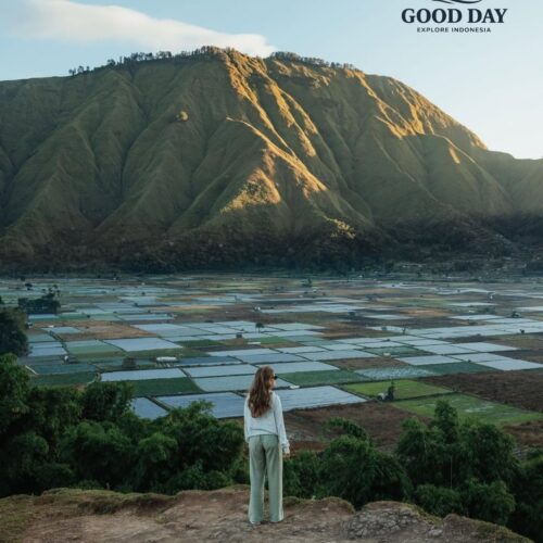 Traveler standing on a scenic hill overlooking vast rice fields and rolling mountains in Lombok, Indonesia, during golden hour with panoramic countryside views.