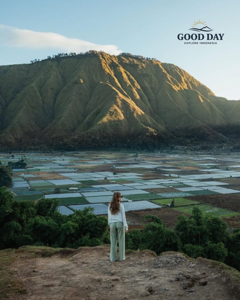 Traveler standing on a scenic hill overlooking vast rice fields and rolling mountains in Lombok, Indonesia, during golden hour with panoramic countryside views.
