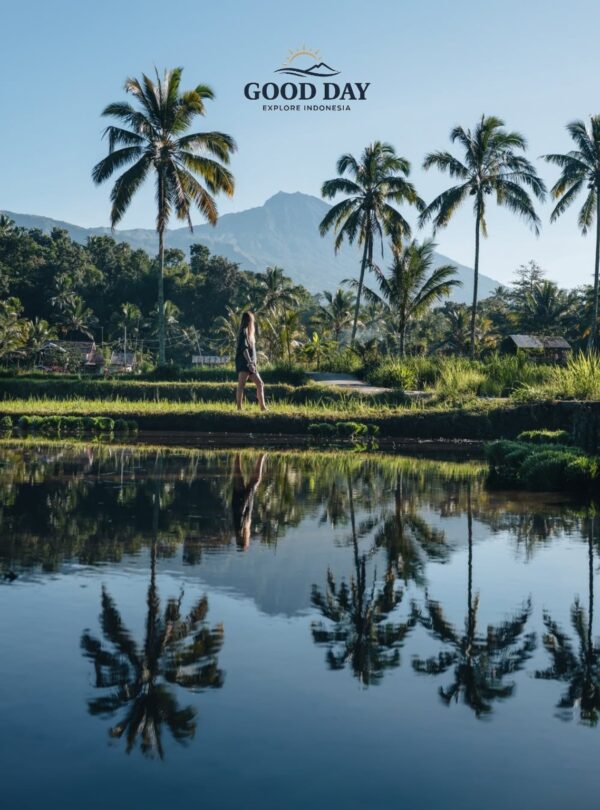 Traveler walking through lush Tetebatu rice fields with Mount Rinjani in the background and palm tree reflections in a peaceful water landscape, Lombok, Indonesia.