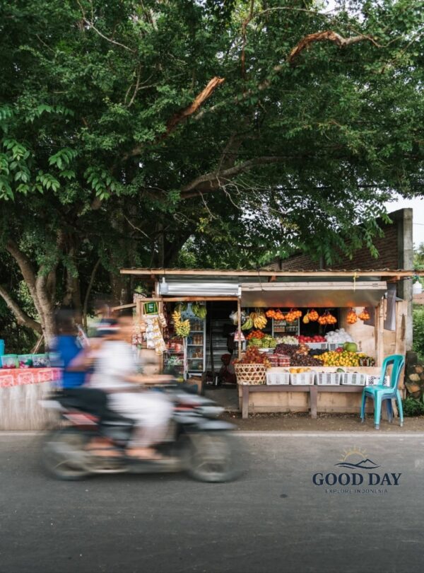 Traditional roadside fruit stall in Lombok, Indonesia, displaying fresh tropical fruits beneath large shade trees while a motorbike passes by, capturing the authentic rhythm of daily local life.