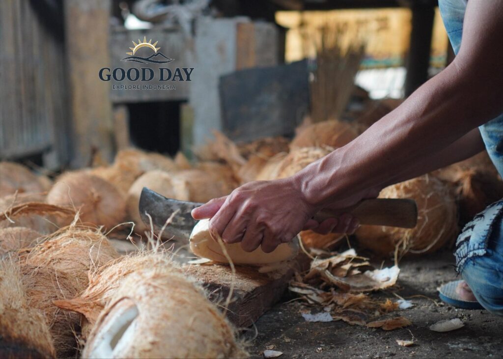 Local villager in Lombok preparing fresh coconuts for traditional coconut oil production. A worker carefully peels coconut flesh by hand in a rustic village workshop surrounded by coconut husks and natural materials