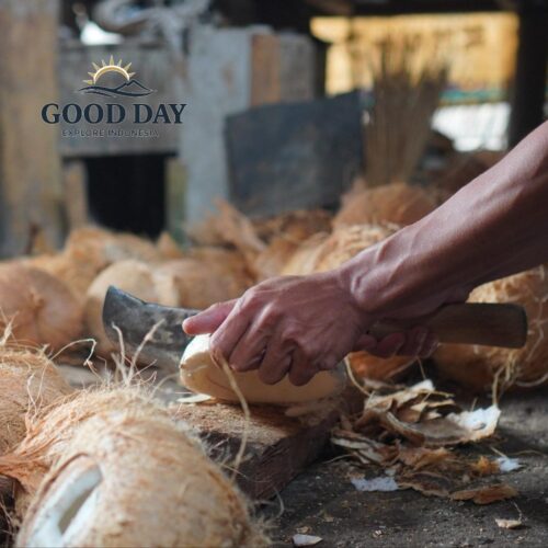 Local villager in Lombok preparing fresh coconuts for traditional coconut oil production. A worker carefully peels coconut flesh by hand in a rustic village workshop surrounded by coconut husks and natural materials