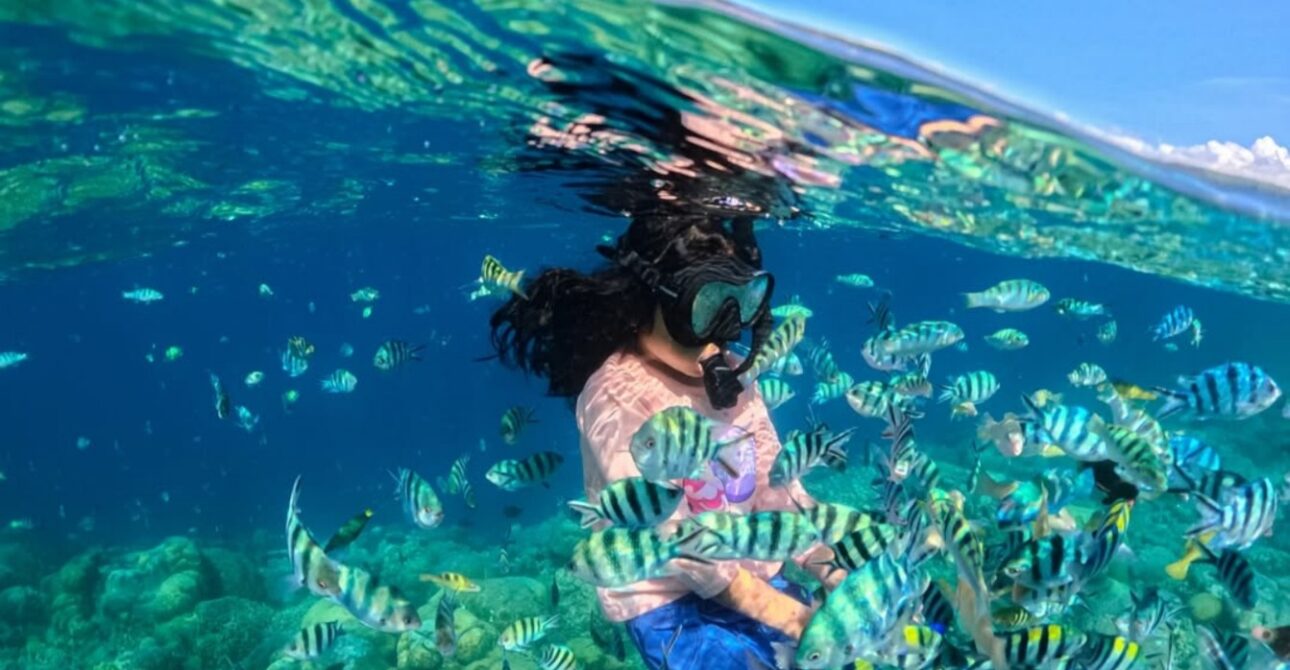 Traveler snorkeling in the crystal-clear waters of Lombok’s Gili Islands, surrounded by colorful tropical fish and vibrant coral reefs in a stunning underwater paradise.