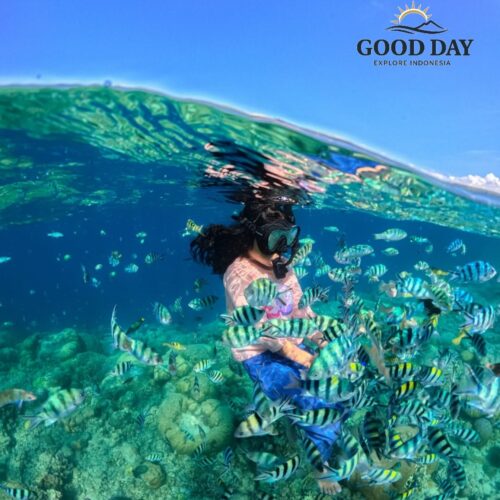 Traveler snorkeling in the crystal-clear waters of Lombok’s Gili Islands, surrounded by colorful tropical fish and vibrant coral reefs in a stunning underwater paradise.