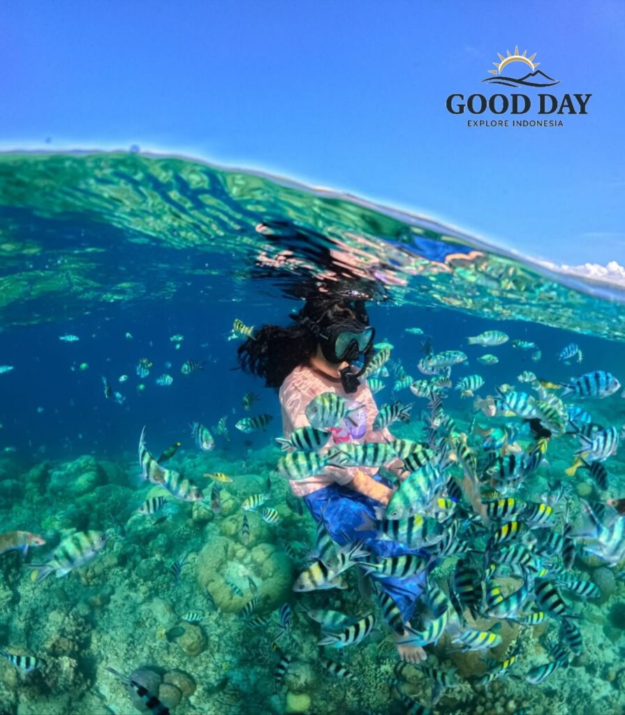 Traveler snorkeling in the crystal-clear waters of Lombok’s Gili Islands, surrounded by colorful tropical fish and vibrant coral reefs in a stunning underwater paradise.