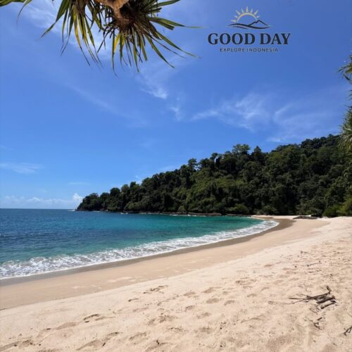 Kuta Mandalika Beach in Lombok, Indonesia, featuring a pristine white-sand shoreline, turquoise ocean water, lush green hills, and tropical pandanus trees under a bright blue sky. A peaceful tropical beach destination in South Lombok.