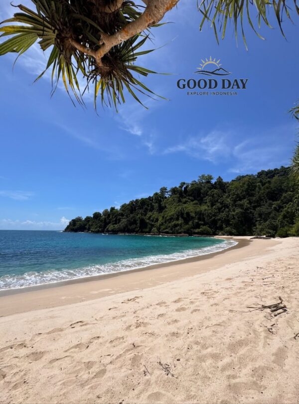 Kuta Mandalika Beach in Lombok, Indonesia, featuring a pristine white-sand shoreline, turquoise ocean water, lush green hills, and tropical pandanus trees under a bright blue sky. A peaceful tropical beach destination in South Lombok.