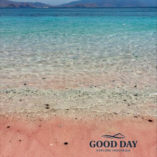 A stunning view of Pink Beach Lombok featuring rare pink-colored sand meeting crystal-clear turquoise waters. The calm shoreline, transparent sea, and distant hills create one of Indonesia’s most beautiful tropical beach landscapes.