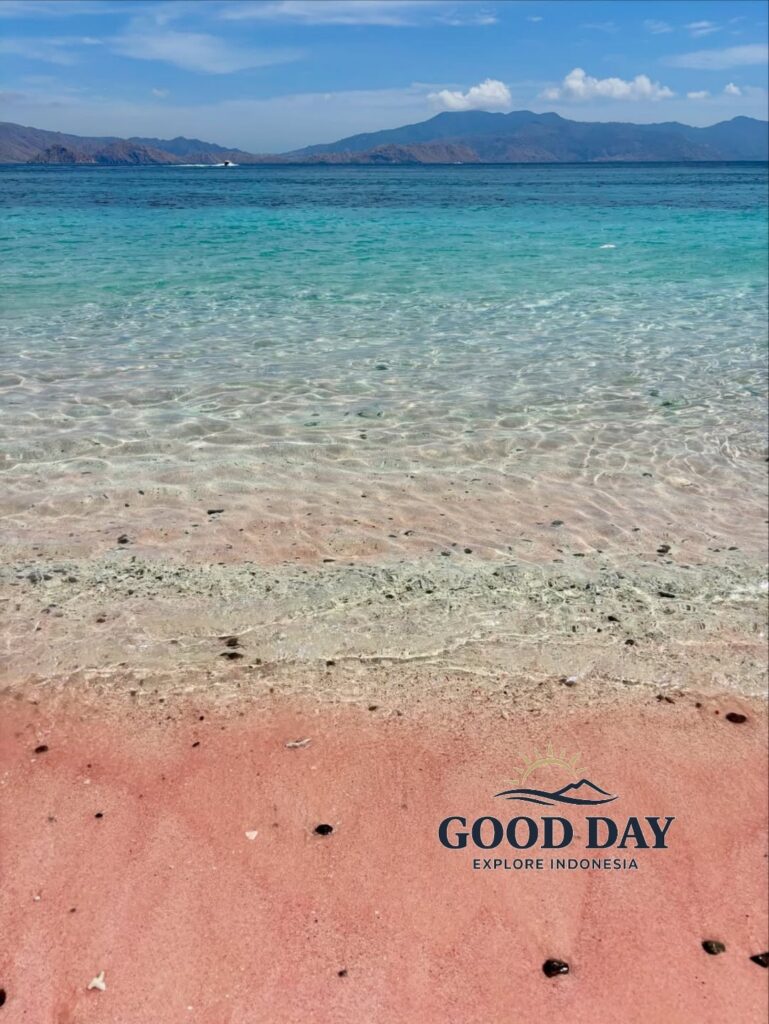 A stunning view of Pink Beach Lombok featuring rare pink-colored sand meeting crystal-clear turquoise waters. The calm shoreline, transparent sea, and distant hills create one of Indonesia’s most beautiful tropical beach landscapes.