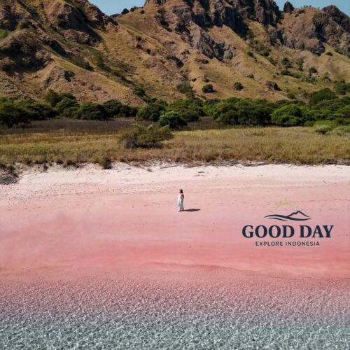 A stunning view of Pink Beach Lombok featuring vibrant pink sand, crystal-clear turquoise waters, and dramatic rolling hills in the background. A traveler stands on the shoreline, highlighting the unique beauty of one of Indonesia’s rare pink sand beaches.