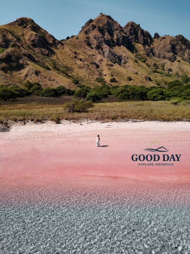 A stunning view of Pink Beach Lombok featuring vibrant pink sand, crystal-clear turquoise waters, and dramatic rolling hills in the background. A traveler stands on the shoreline, highlighting the unique beauty of one of Indonesia’s rare pink sand beaches.