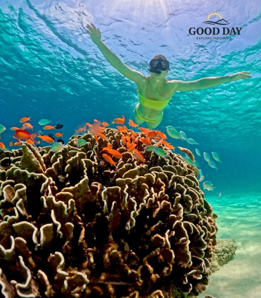 Snorkeler exploring a vibrant coral reef in Lombok, Indonesia, surrounded by colorful tropical fish in crystal-clear turquoise water. The healthy coral ecosystem and abundant marine life showcase one of Lombok’s best snorkeling destinations.