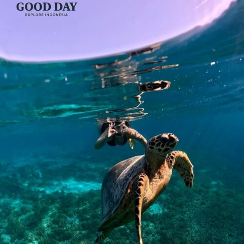 Snorkeler swimming with a sea turtle in the crystal-clear turquoise waters of Gili Islands, Lombok, Indonesia, showcasing vibrant coral reefs and unforgettable marine life encounters.