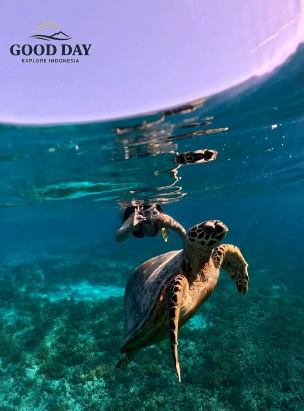 Snorkeler swimming with a sea turtle in the crystal-clear turquoise waters of Gili Islands, Lombok, Indonesia, showcasing vibrant coral reefs and unforgettable marine life encounters.