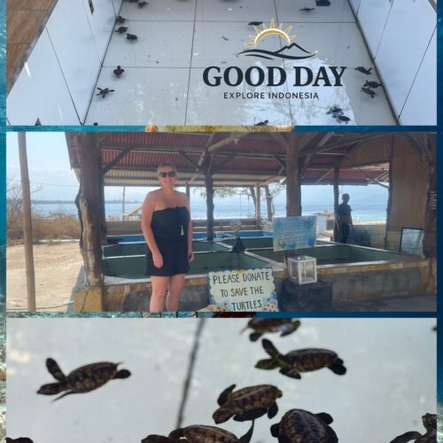 Visitor standing at the Turtle Sanctuary in Lombok, Indonesia, learning about sea turtle conservation efforts near the beach and supporting marine wildlife protection.