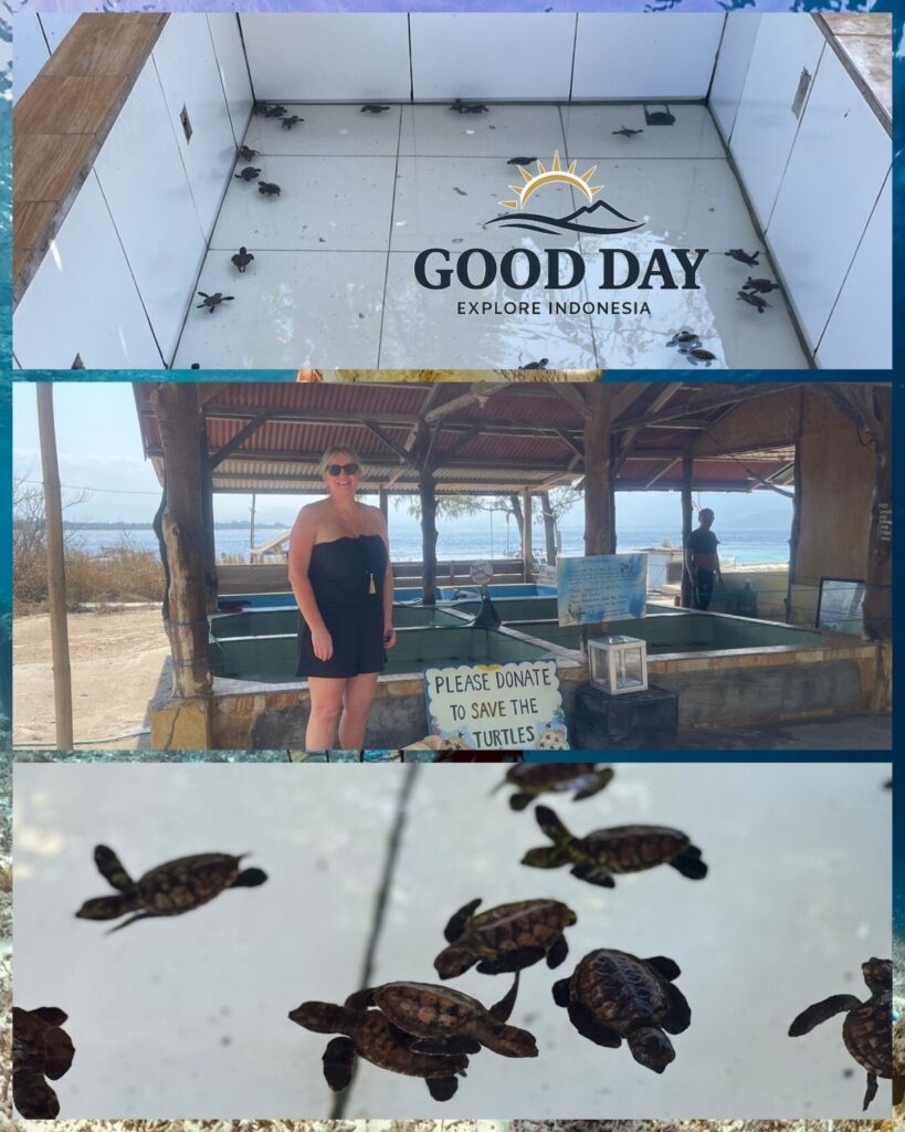 Visitor standing at the Turtle Sanctuary in Lombok, Indonesia, learning about sea turtle conservation efforts near the beach and supporting marine wildlife protection.