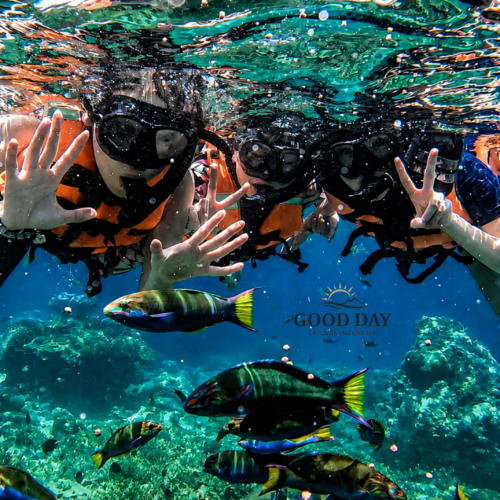 Tourists snorkeling among colorful tropical fish in the crystal-clear waters of Bunaken Marine Park, Manado, North Sulawesi, Indonesia. The underwater scene showcases vibrant coral reefs, diverse marine life, and visitors enjoying a close encounter with reef fish in one of Indonesia’s top snorkeling destinations.