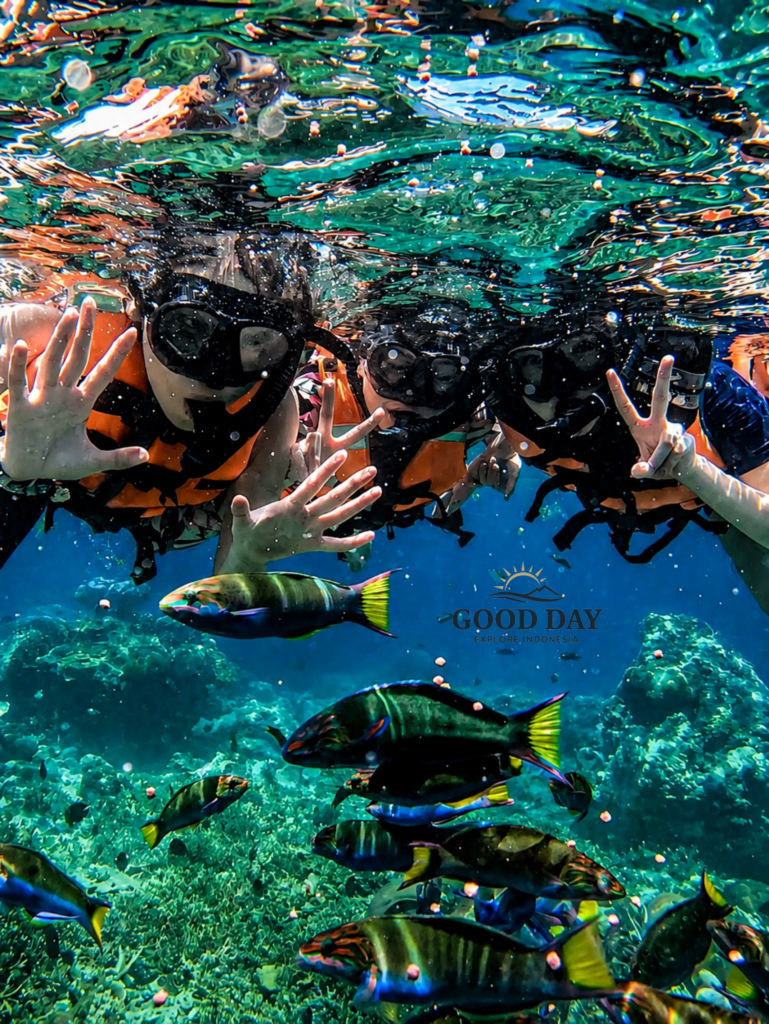 Tourists snorkeling among colorful tropical fish in the crystal-clear waters of Bunaken Marine Park, Manado, North Sulawesi, Indonesia. The underwater scene showcases vibrant coral reefs, diverse marine life, and visitors enjoying a close encounter with reef fish in one of Indonesia’s top snorkeling destinations.