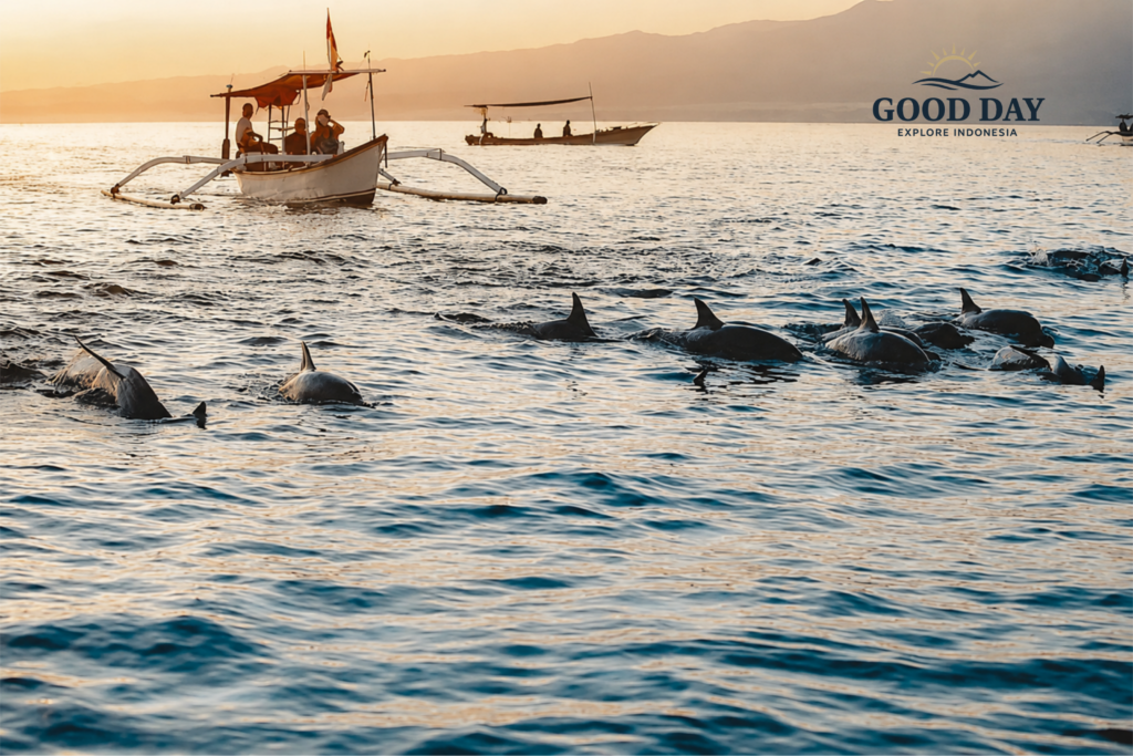 Wild dolphins swimming alongside a traditional boat during sunrise in the waters of Bunaken, Manado, North Sulawesi, Indonesia. The peaceful morning scene captures a pod of dolphins surfacing in the calm sea against a backdrop of golden light and distant mountains.