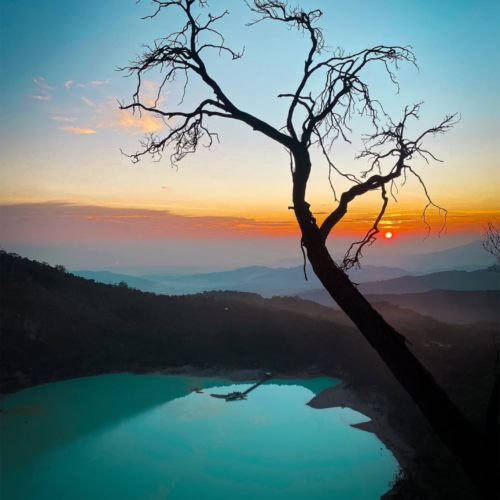 Sunrise view of Kawah Putih crater lake from Sunan Ibu Viewpoint in Ciwidey, Bandung, featuring a silhouetted tree and turquoise volcanic waters in West Java, Indonesia.