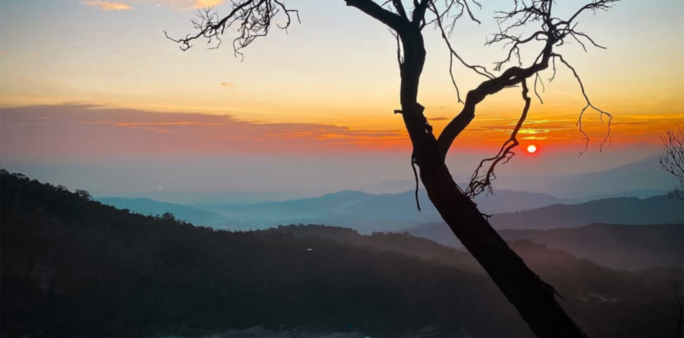 Sunrise view of Kawah Putih crater lake from Sunan Ibu Viewpoint in Ciwidey, Bandung, featuring a silhouetted tree and turquoise volcanic waters in West Java, Indonesia.