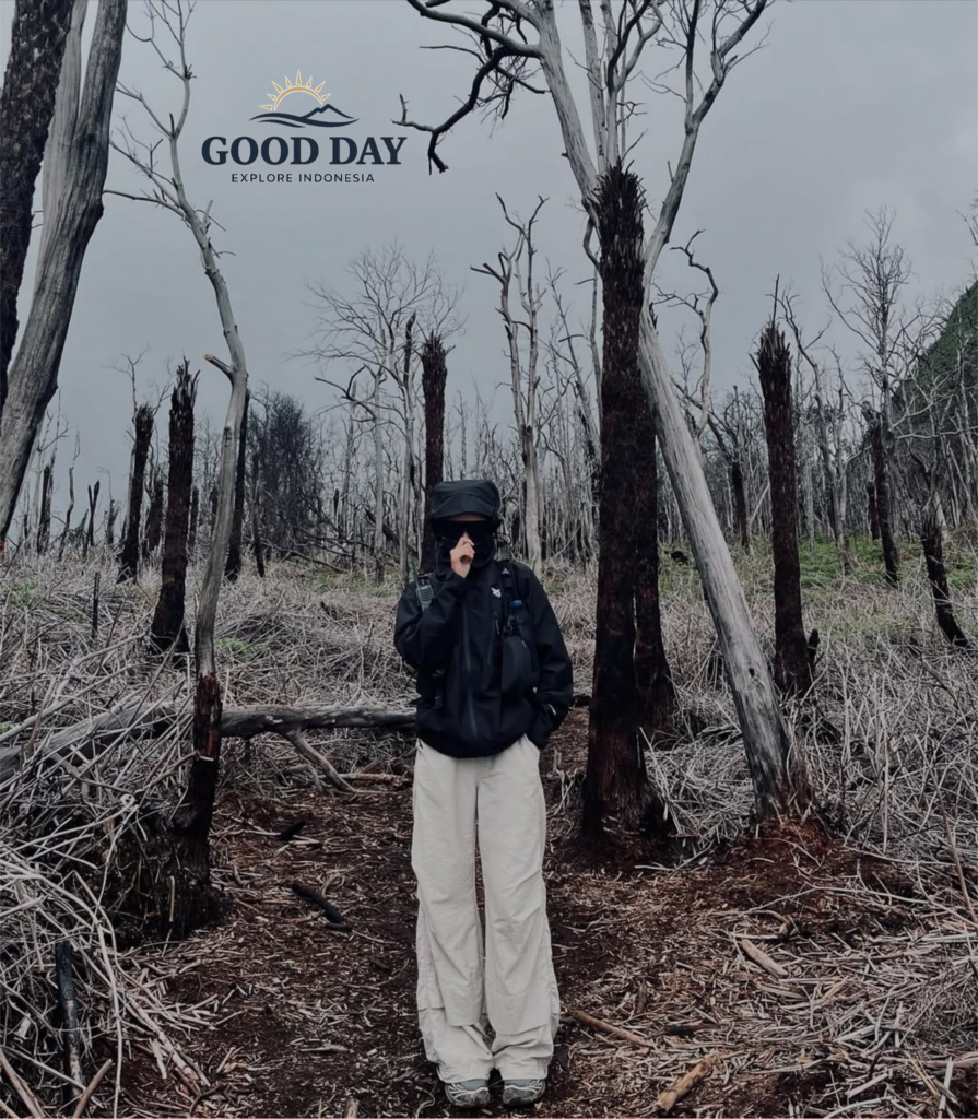 Traveler standing among the iconic dead forest near Sunan Ibu Viewpoint at Kawah Putih in Ciwidey, Bandung, West Java, Indonesia.