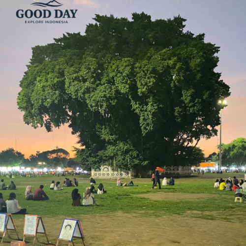 People relaxing on the grass beneath the iconic twin banyan trees at Alun-Alun Kidul, Yogyakarta, Indonesia, during a peaceful evening gathering in one of the city's most famous public spaces.
