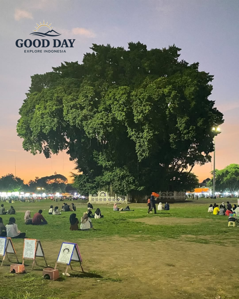 People relaxing on the grass beneath the iconic twin banyan trees at Alun-Alun Kidul, Yogyakarta, Indonesia, during a peaceful evening gathering in one of the city's most famous public spaces.