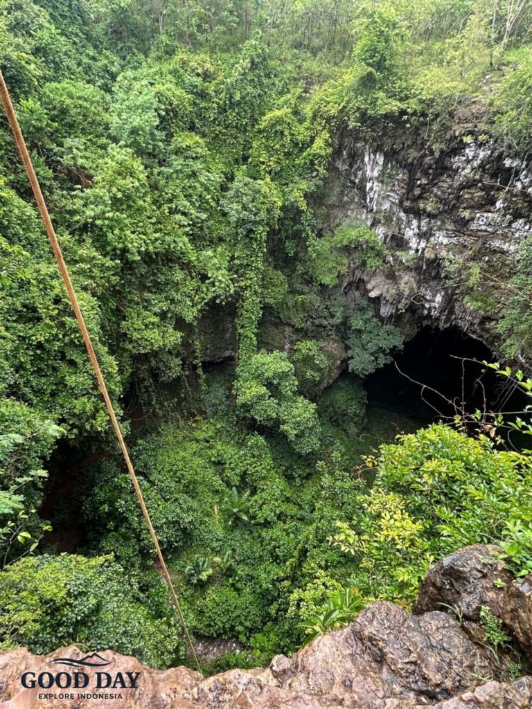Aerial view of Jomblang Cave's giant sinkhole in Yogyakarta, Indonesia, surrounded by dense tropical vegetation, limestone cliffs, and the entrance to the famous underground cave system.