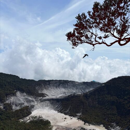 Panoramic view of Tangkuban Perahu Volcano in Bandung, West Java, featuring the vast volcanic crater surrounded by lush mountain forests, dramatic clouds, and a bird soaring above the landscape. The breathtaking scenery showcases one of Indonesia’s most iconic volcanic destinations.