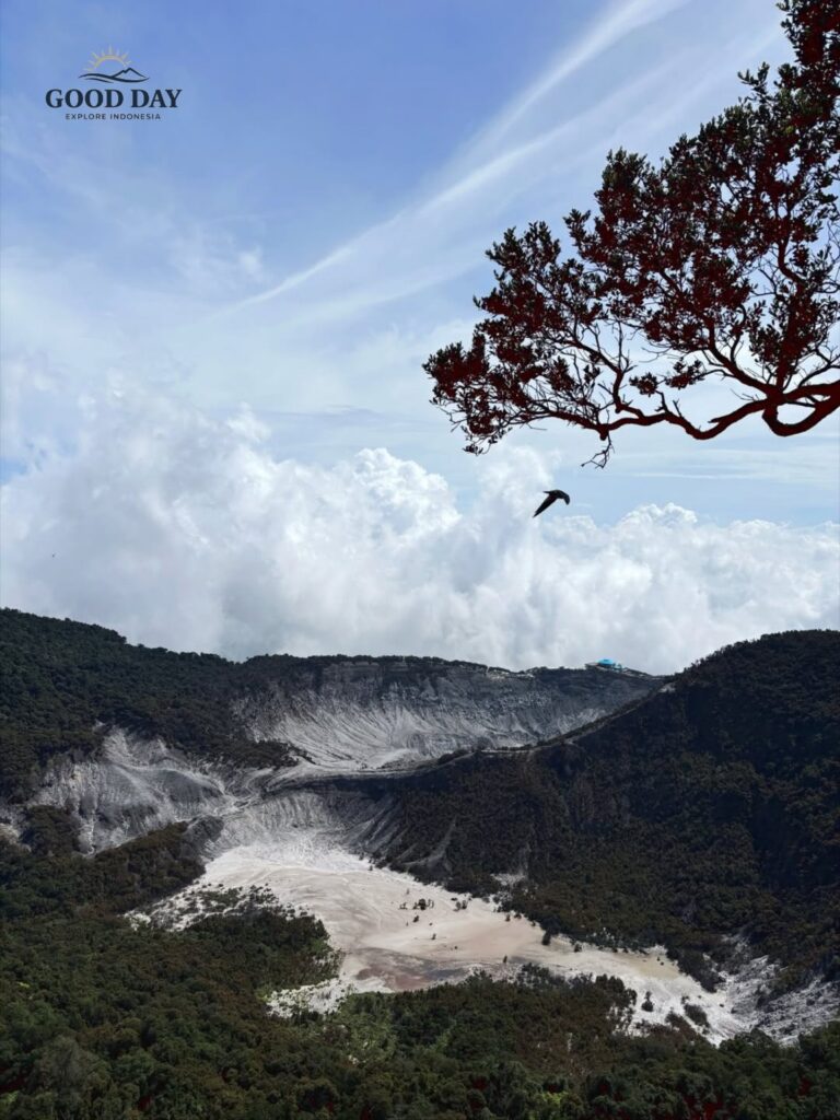 Panoramic view of Tangkuban Perahu Volcano in Bandung, West Java, featuring the vast volcanic crater surrounded by lush mountain forests, dramatic clouds, and a bird soaring above the landscape. The breathtaking scenery showcases one of Indonesia’s most iconic volcanic destinations.