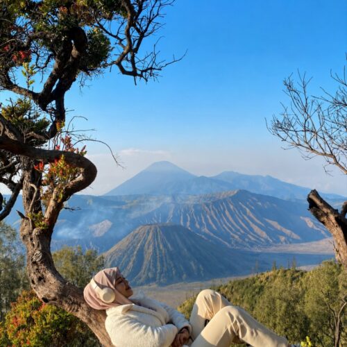 Traveler relaxing on a tree branch while enjoying the breathtaking sunrise view of Mount Bromo, Mount Batok, and Mount Semeru in Bromo Tengger Semeru National Park, East Java, Indonesia.