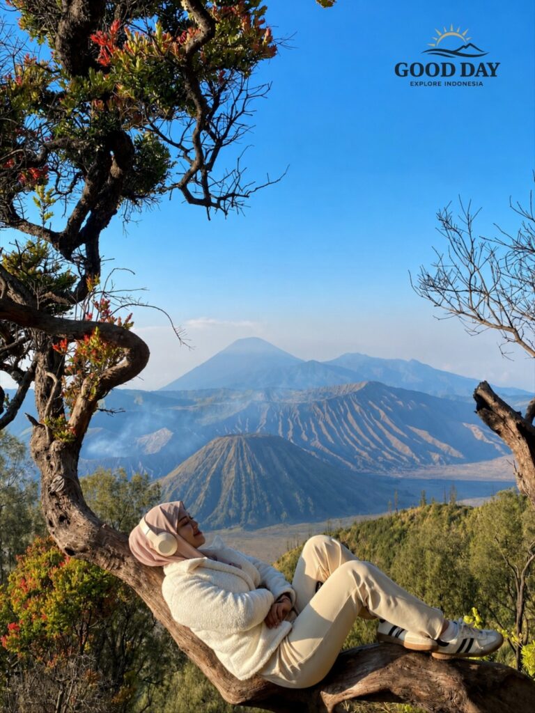 Traveler relaxing on a tree branch while enjoying the breathtaking sunrise view of Mount Bromo, Mount Batok, and Mount Semeru in Bromo Tengger Semeru National Park, East Java, Indonesia.