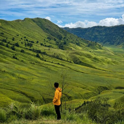 Traveler standing on a viewpoint overlooking the rolling green hills of Teletubbies Hill in Mount Bromo, East Java, Indonesia, surrounded by vast savanna landscapes and dramatic mountain scenery.