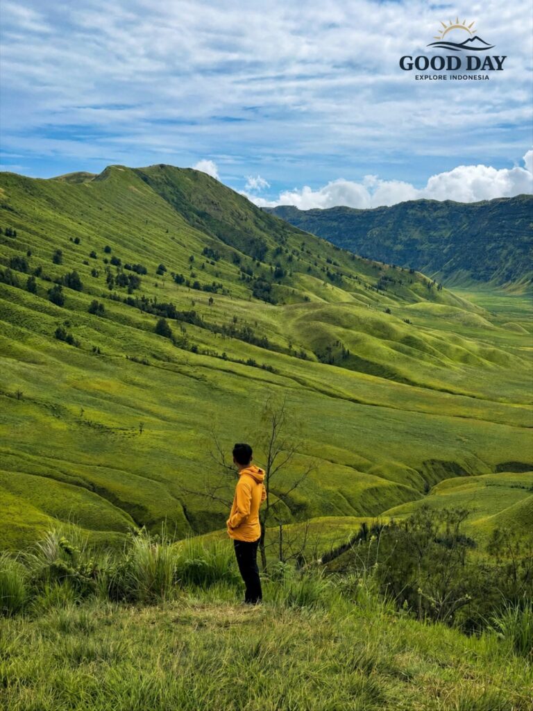 Traveler standing on a viewpoint overlooking the rolling green hills of Teletubbies Hill in Mount Bromo, East Java, Indonesia, surrounded by vast savanna landscapes and dramatic mountain scenery.