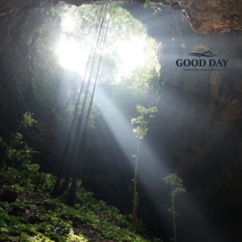 Sunbeams shining through the massive skylight of Goa Macan Mati in Yogyakarta, Indonesia. Lush vegetation, hanging roots, and towering limestone walls create a breathtaking underground landscape inside one of Gunungkidul's most spectacular cave destinations.