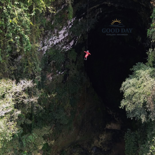 A caver in a red jumpsuit rappels into the vast vertical entrance of Goa Ngeleng in Yogyakarta, Indonesia. Surrounded by lush green vegetation, limestone cliffs, and a dramatic underground sinkhole, the adventurer descends into one of Jogja's most impressive cave systems.