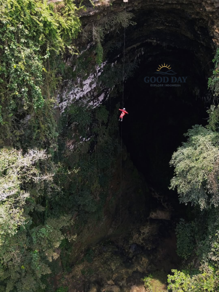A caver in a red jumpsuit rappels into the vast vertical entrance of Goa Ngeleng in Yogyakarta, Indonesia. Surrounded by lush green vegetation, limestone cliffs, and a dramatic underground sinkhole, the adventurer descends into one of Jogja's most impressive cave systems.